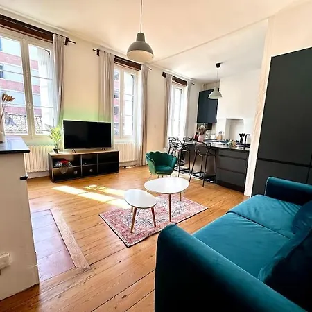 Standing Dans Hypercentre Historique * טולוז