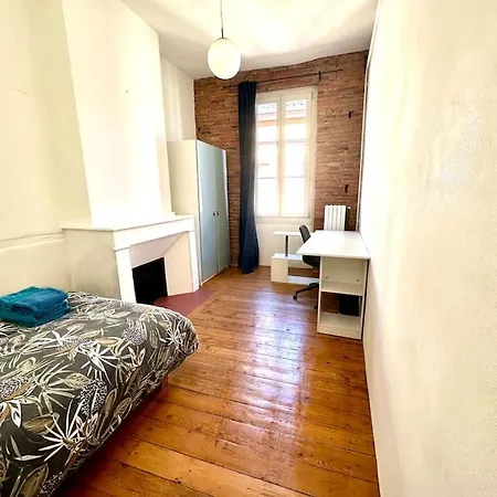 Standing Dans Hypercentre Historique تولوز