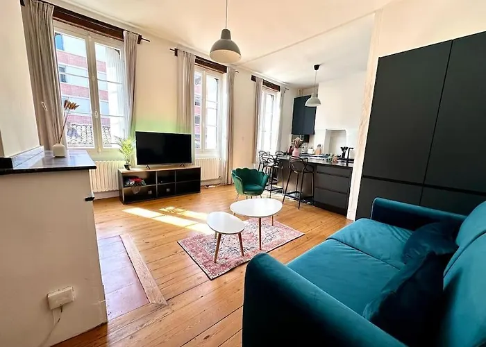 Standing Dans Hypercentre Historique * Toulouse