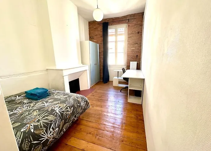 Standing Dans Hypercentre Historique Toulouse